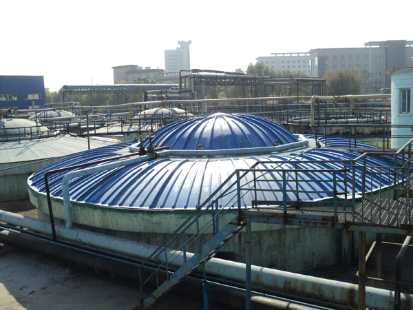 ������w��